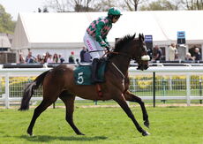 Warwick 21 April 2022