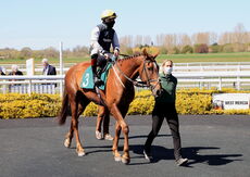 Racing TV.com Handicap Chase