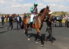 Racing TV Maiden Hurdle (Div 1)
