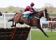 Racing TV Maiden Hurdle (Div 2)