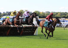 Mansionbet Nov Hurdle