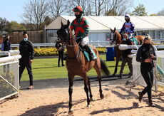 South West Syndicate Handicap Hurdle