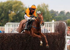 South West Syndicate Handicap Hurdle