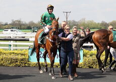 Racing TV Maiden Hurdle (Div 2)