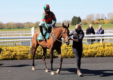 South West Syndicate Handicap Hurdle