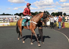 Mansionbet Nov Hurdle