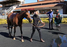 South West Syndicate Handicap Hurdle