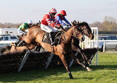 Mansionbet Nov Hurdle