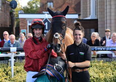 Mansionbet Nov Hurdle