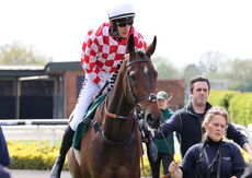 Racing TV Novices' H'cap Chase