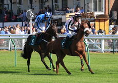 Mansionbet Nov H'cap Hurdle