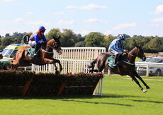Mansionbet Nov H'cap Hurdle