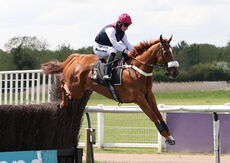 Racing TV.com Novices' Handicap Chase