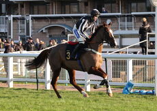 Mansionbet Nov H'cap Hurdle