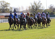 Racing TV.com Standard Open NH Flat Race