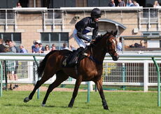 Larkshill Engineering Maiden Hurdle