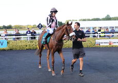 Mansionbet Nov H'cap Hurdle