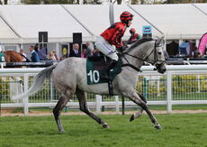 Racing TV.com Handicap Hurdle