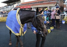 Larkshill Engineering Maiden Hurdle