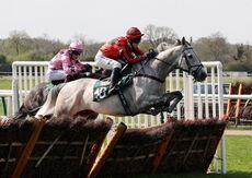 Racing TV.com Handicap Hurdle