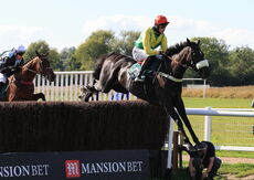 Mansionbet Handicap Chase