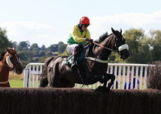 Mansionbet Handicap Chase