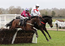 Mansionbet Handicap Chase