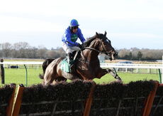 Alpha Boilers Handicap Hurdle.