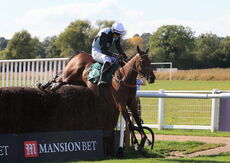 Mansionbet Handicap Chase