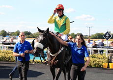 Mansionbet Handicap Chase