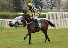 Racing TV Mares' 'NH' Nov Hurdle