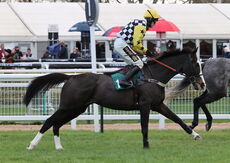 Actioncoach Lady Godiva Mares' Novices' Chase.