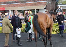 Racing TV.com Handicap Chase