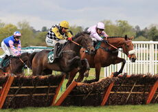 Racing TV Mares' 'NH' Nov Hurdle