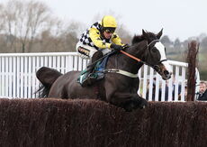 Actioncoach Lady Godiva Mares' Novices' Chase.