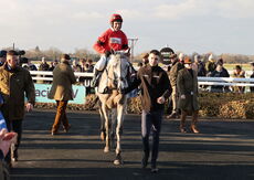 Actioncoach Lady Godiva Mares' Novices' Chase.
