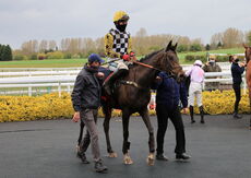 Racing TV Mares' 'NH' Nov Hurdle