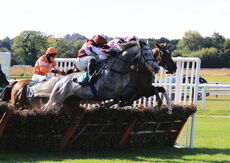 Mansionbet Handicap Hurdle.