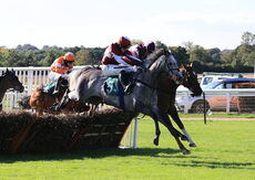 Mansionbet Handicap Hurdle.