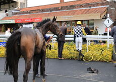Racing TV Mares' 'NH' Nov Hurdle