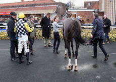 Actioncoach Lady Godiva Mares' Novices' Chase.