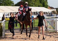 Racing TV Mares' 'NH' Nov Hurdle