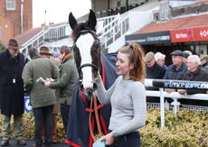 Actioncoach Lady Godiva Mares' Novices' Chase.