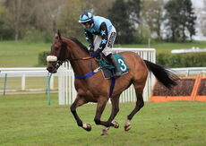 Racing TV Novices' H'cap Chase