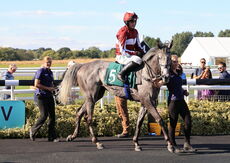 Mansionbet Handicap Hurdle.