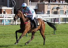 Racing TV Novices' H'cap Chase