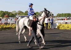 South West Syndicate Handicap Hurdle