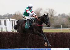 Brave Seasca (Gavin Sheehan)