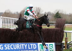 Brave Seasca (Gavin Sheehan)