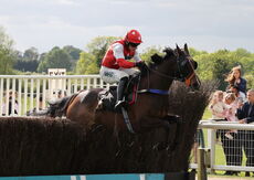 Marcot Flooring Solutions Handicap Chase